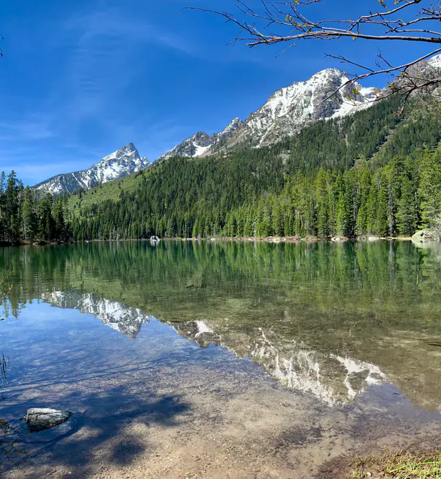 Clear shallow water reveals stones beneath a forest-lined alpine lake
