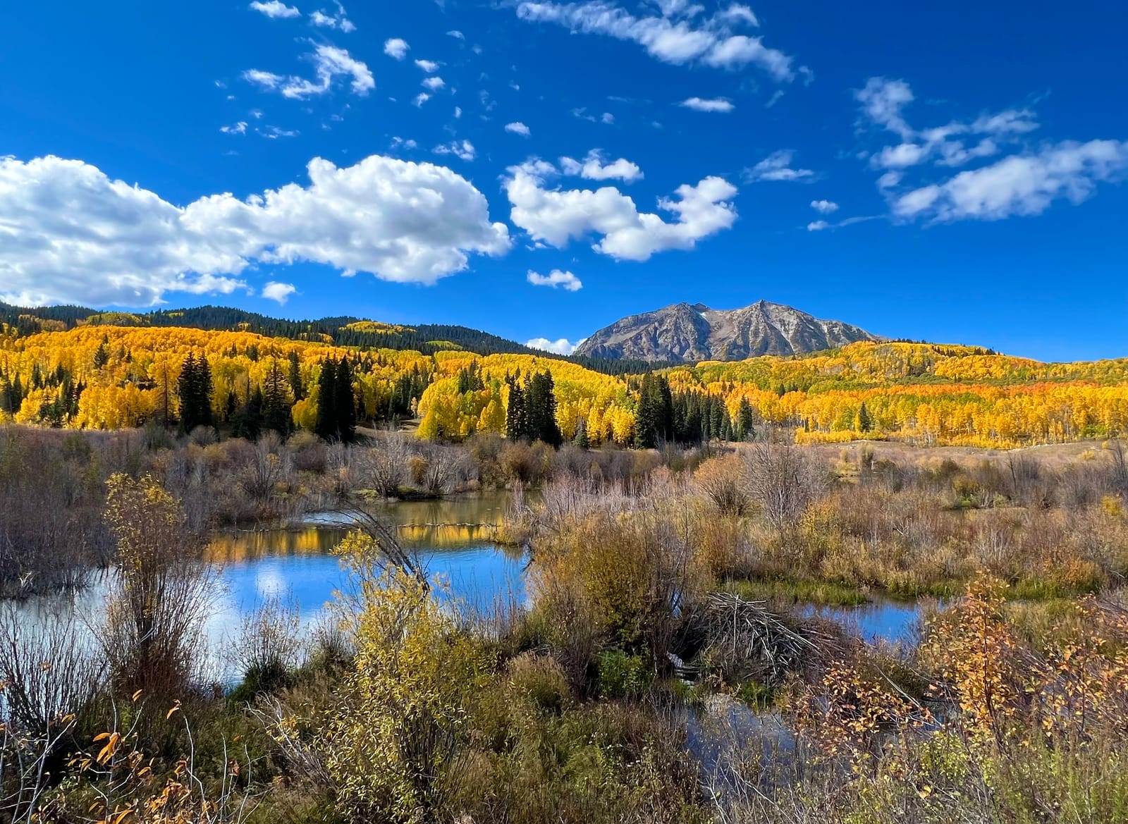 Golden aspen trees, a mountain ridge, and a beaver pond beneath a vivid blue sky