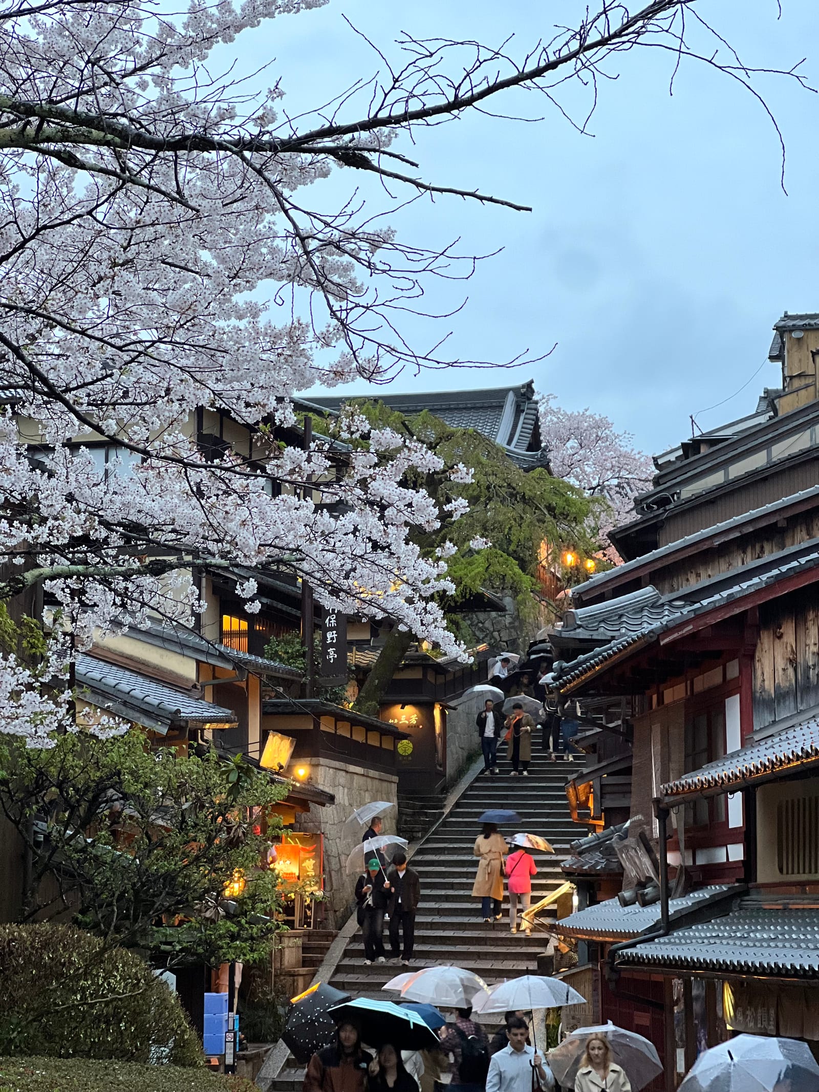 A lantern-lit stone street in Kyoto beneath cherry blossoms and umbrellas